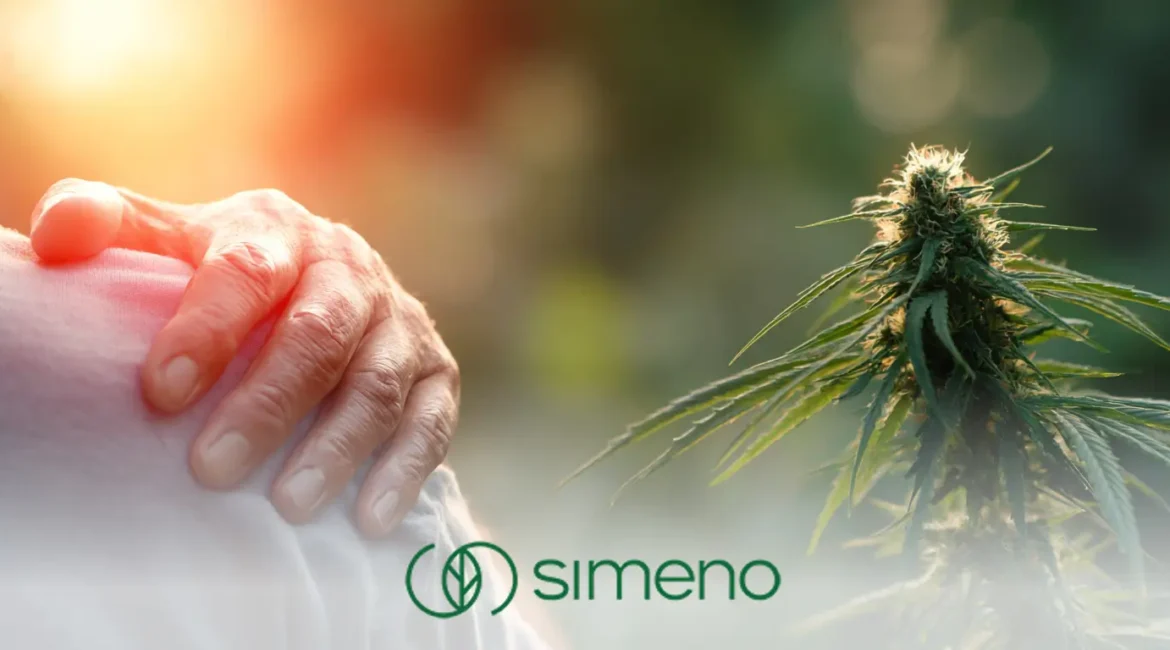 CBD проти хронічного болю