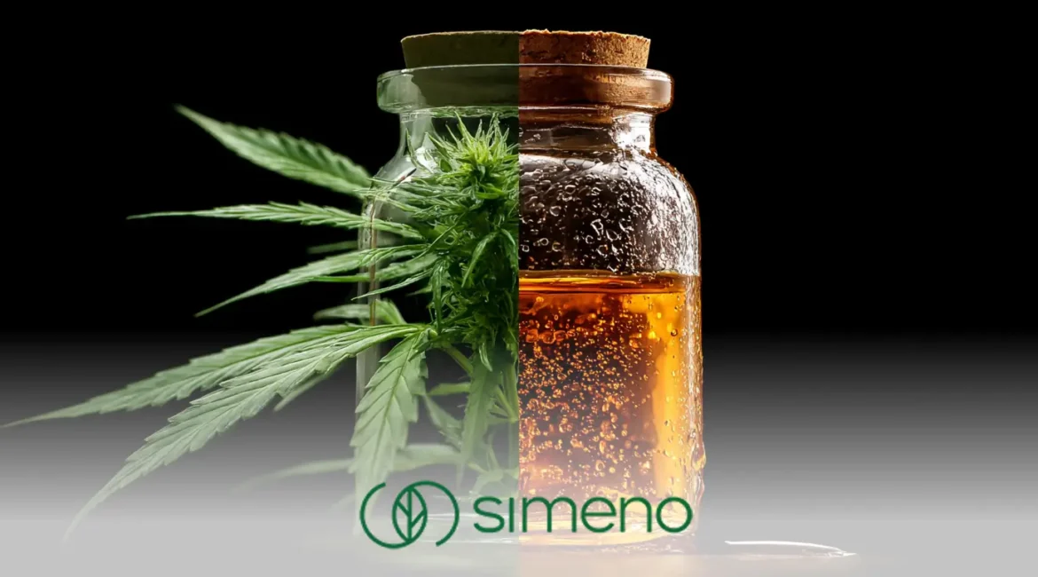 Конопляна олія та кбд олія: у чому різниця?